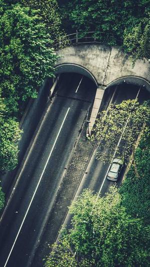 蜘蛛池免费代运营截图2