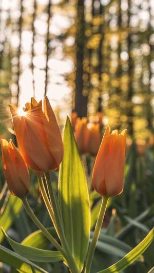 昆明seo优化截图4