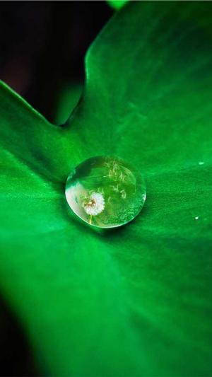 西安网站建设截图2