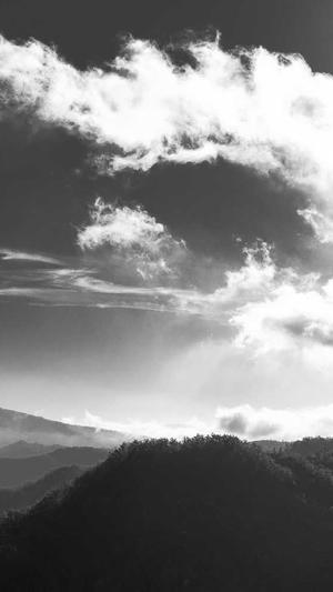 企业网站免费建设截图3