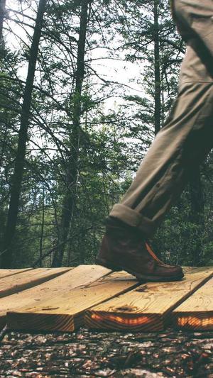 提升关键词排名seo工具截图1