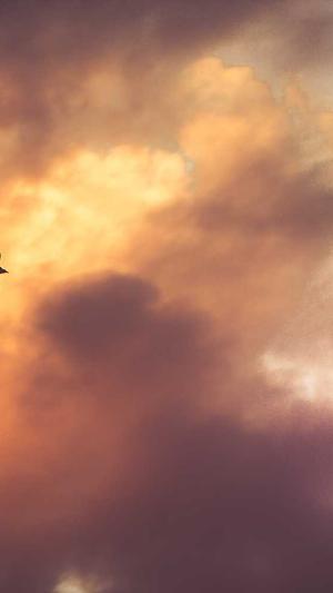 蜘蛛池日租200截图3