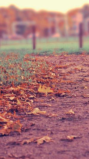 广州市网站建设截图1