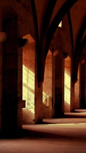 百度推广seo工具截图2