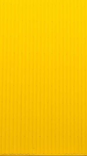 蜘蛛池日租200截图2