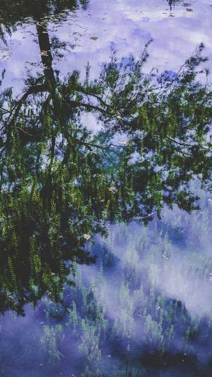 seo在线分析工具包截图3