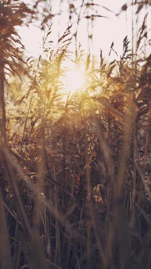 泛目录的数据源截图3