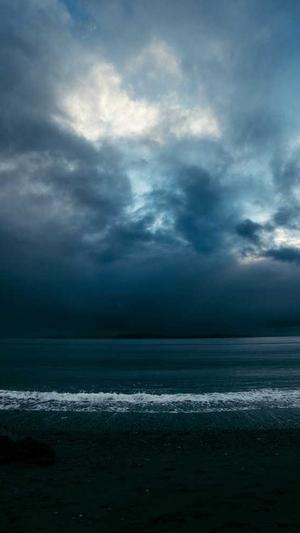 西藏蜘蛛池出租服务截图1