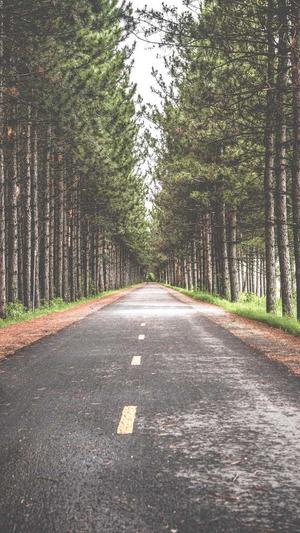 威海网站建设截图1