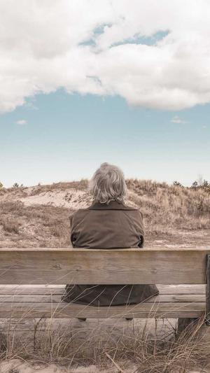 seo站长工具优化推广截图2