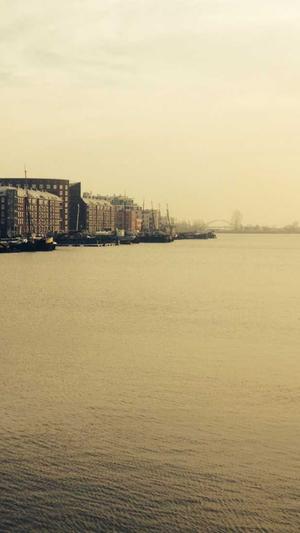 蜘蛛池教程案例截图1