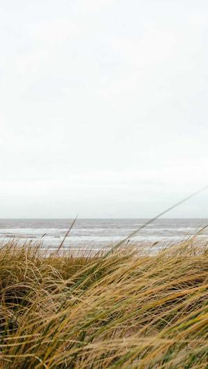 蜘蛛池租用托管截图3