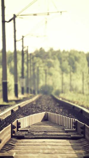 网站泛解析泛目录截图1