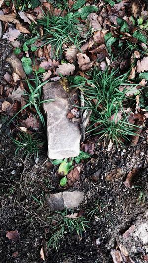 seo基础教程截图3