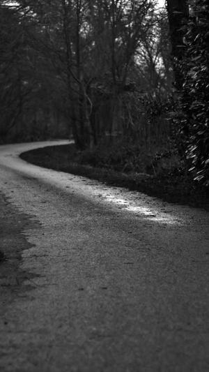 西安网站建设截图1