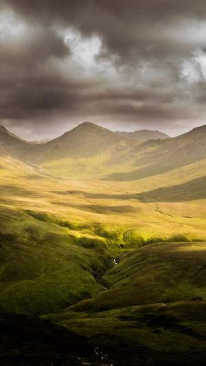 有会搭建蜘蛛池的吗截图1