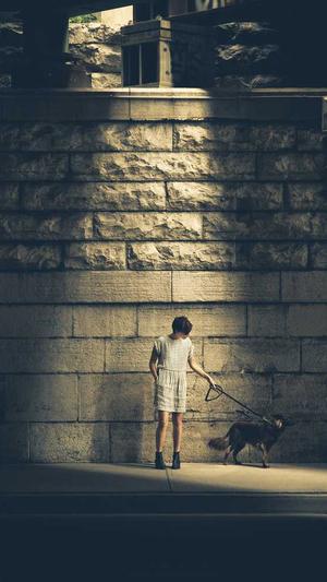 西藏蜘蛛池出租服务截图3