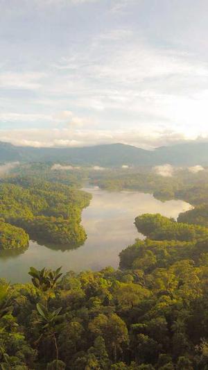 东莞seo推广截图1