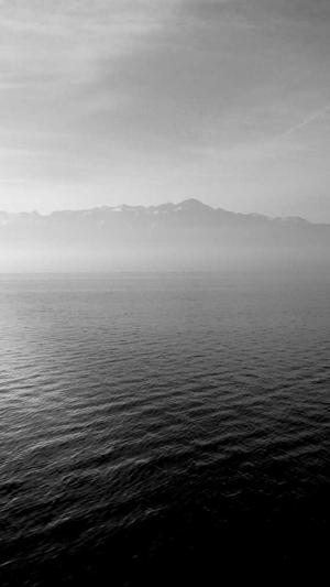 蜘蛛池外推技巧图解截图1