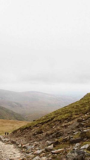 建设网站的好公司截图2