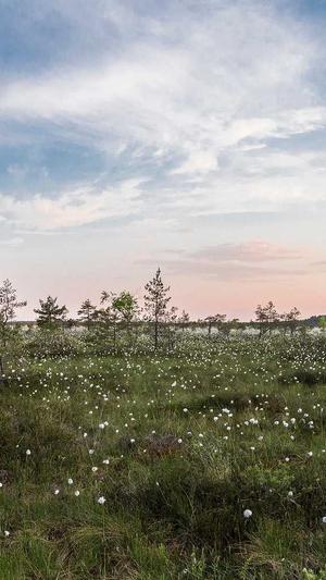 北京seo顾问截图1