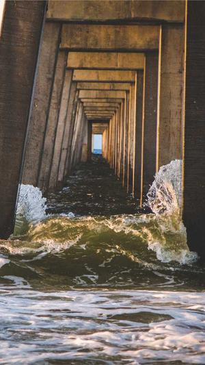 小旋风万能蜘蛛池出租截图2