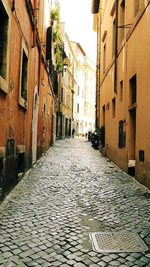 温州网站建设截图2