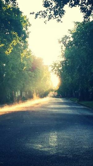 国内蜘蛛池排名第几截图1