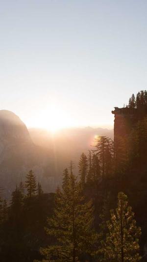 秒收录蜘蛛池seo教程截图3