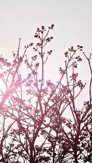 如何建设企业网站截图2