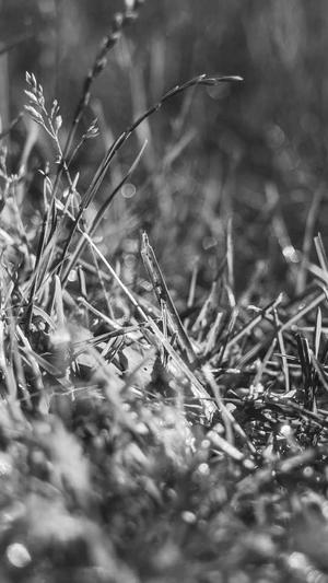 昆明网站建设一条龙截图2