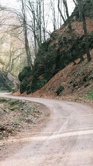 天道蜘蛛池截图3