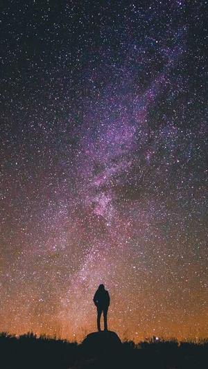 seo布局工具截图1