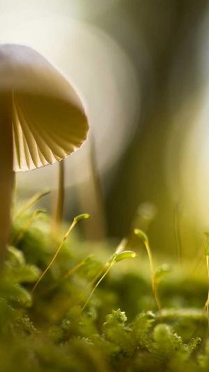 网站seo分析工具包截图2