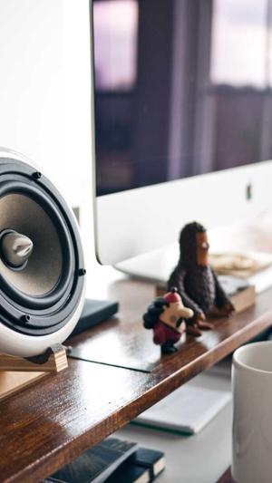 寄生虫泛目录截图5