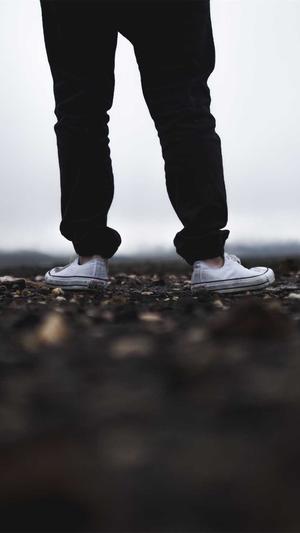 seo优化技术教程蜘蛛池截图4