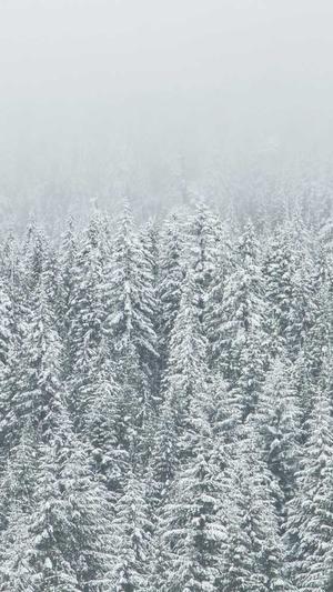 长春的网站建设截图3