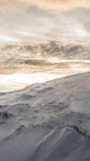 聚合泛目录v5.0站群截图4