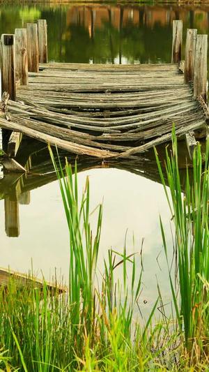 泛目录怎么做seo博客截图1