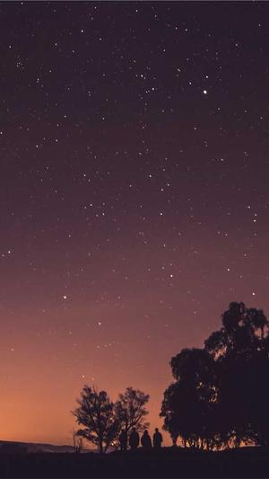 安康网站建设截图2