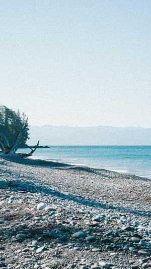 优化工具seo大全截图2