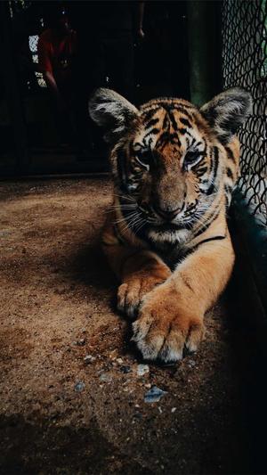 泛目录如何处理seo黑帽截图5