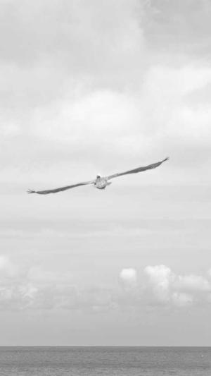 seo推广费用推广工具截图1