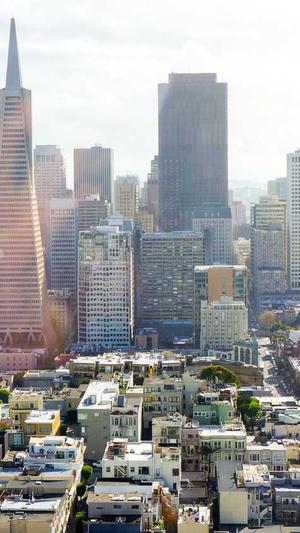 阳江网站建设公司截图1