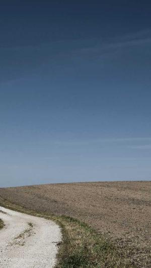 好用的网站seo优化工具截图1