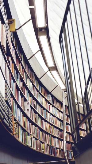 免费的seo网站截图2