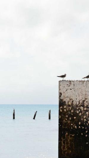 长春网站建设制作截图2