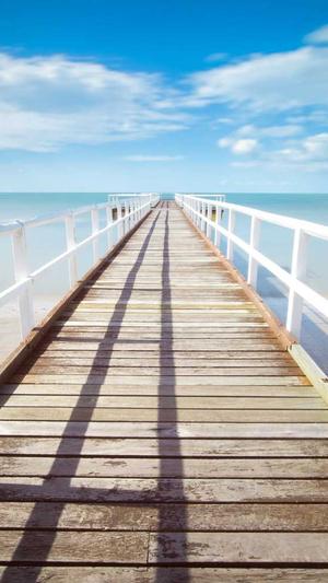 在线SEO工具截图1