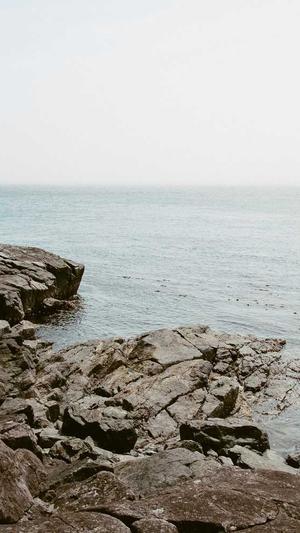 蜘蛛池引目录怎么做截图5