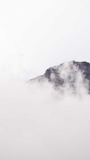 蜘蛛池域名要求截图3